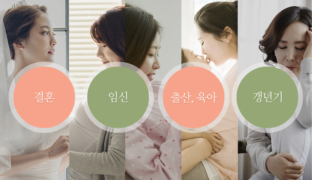 결혼, 임신, 출산, 육아, 갱년기