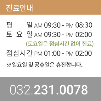 진료안내
